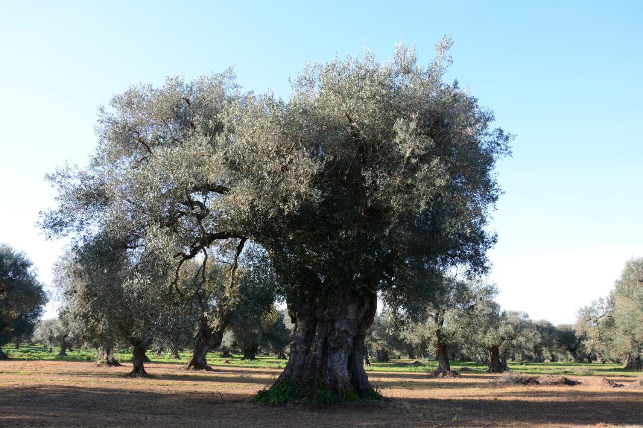 Masseria Rifisa Agriresort Caprarica di Lecce Exterior photo
